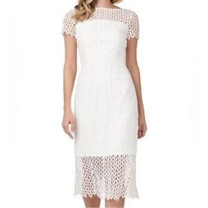 Kay Unger Tatum Floral Lace Midi Cocktail Dress Size 4